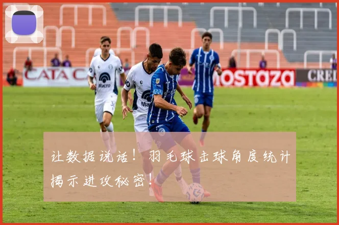 让数据说话！羽毛球击球角度统计揭示进攻秘密！